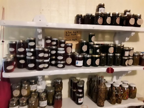 Nell's Kitchen & Flea Market - San Augustine, Texas 75972