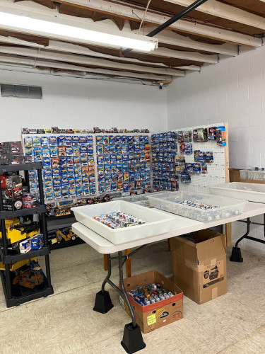 Appalachian Flea - Cumberland, Maryland 21502