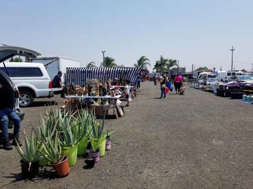 Antioch Flea Market - Antioch, California  94509