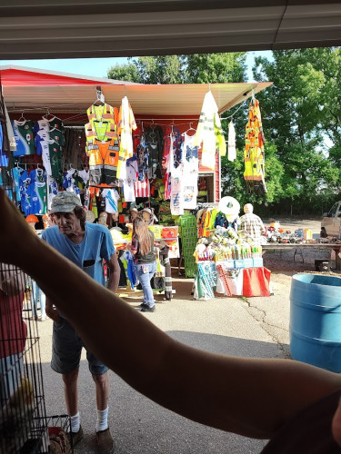 White Horse Flea Market - Greenville, South Carolina 29611