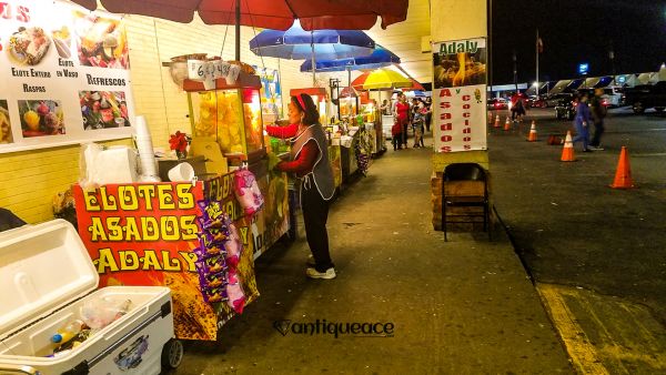 Garibaldi Bazaar - Dallas, Texas 75228