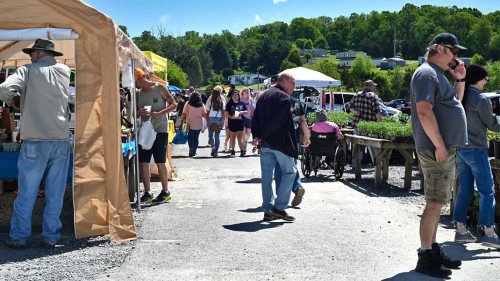Tri Cities Flea Market - Bluff City, Tennessee 37618