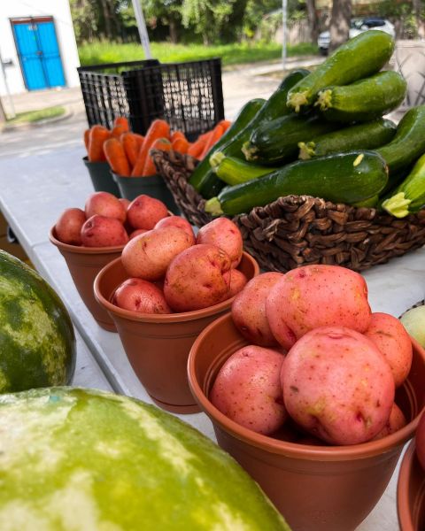 East End Farmers Market - Houston, Texas 77003