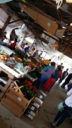 Springs Road Flea Market - Hickory, North Carolina 28601