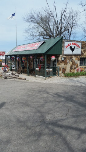 Fleas & Tiques - Branson, Missouri 65616