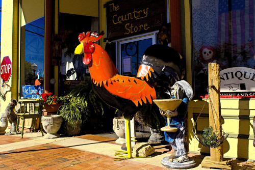 Country Store - Madison, Florida 32340