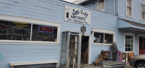 Seagull Antiques Gifts - Bodega, California 94922