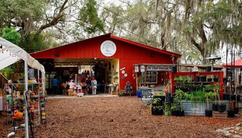 The Dona Vista Market - Umatilla, Florida 32784