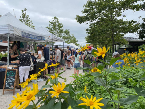 Greenway Artisan Market - Boston, Massachusetts 02109