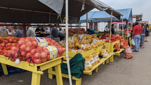 Don-Wes Flea Market - Donna, Texas 78537