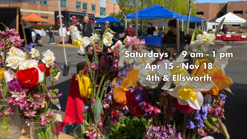 Downtown Albany Farmers Market - Albany, New York 12207